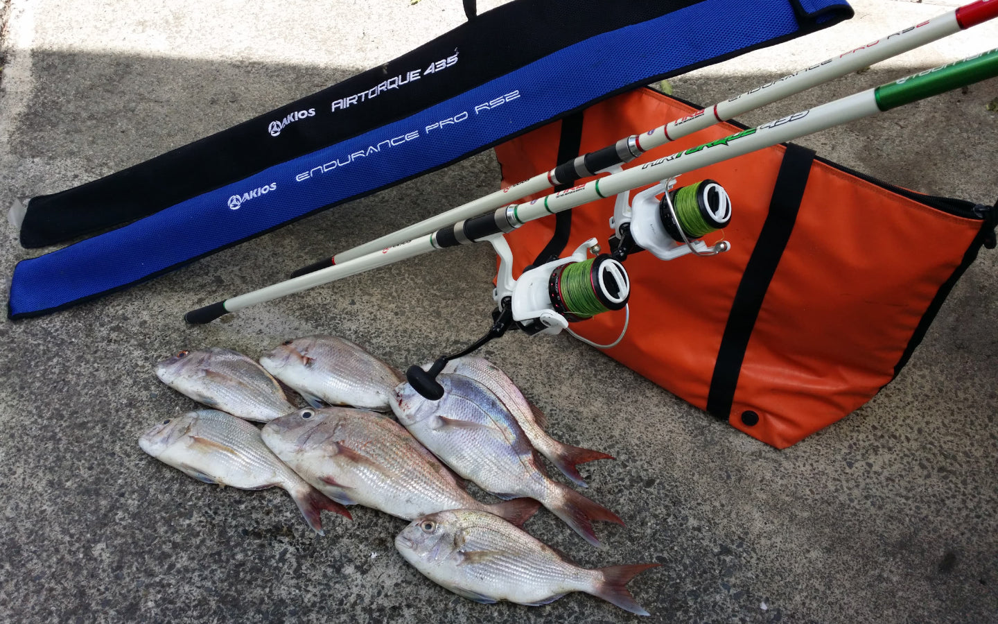 baitcaster reel combo nz Orbiter Combo's speed gear ratio KastKing Centron Baitcasting Rod and