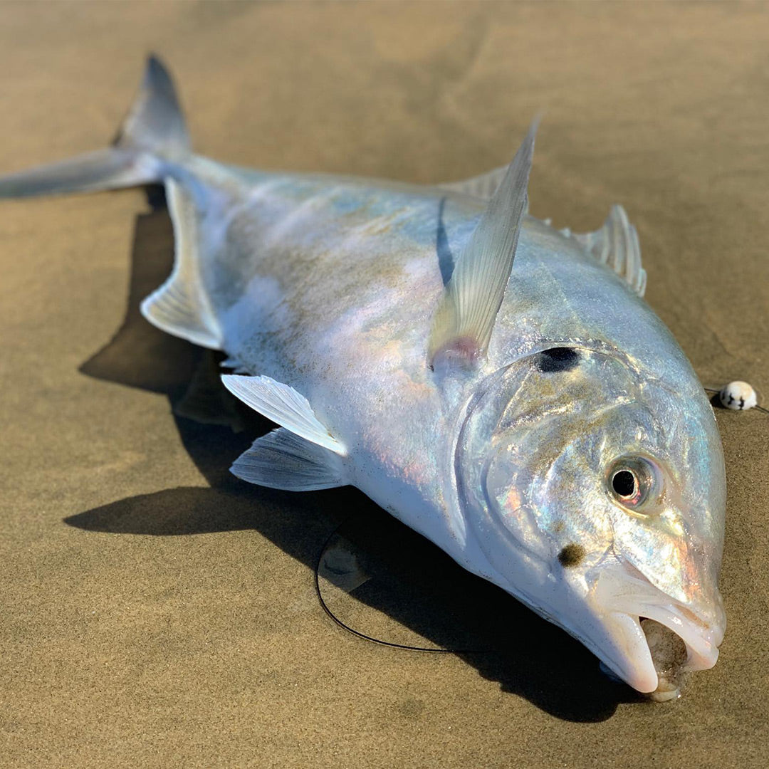 Sunset Amnesia Memory Free Monofilament Trace | 40lb / 18.2kg 100m - LURE ME - Online Fishing Tackle.