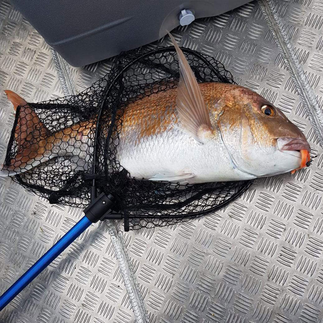 Big Snapper Caught on Catch Black Label Livies Soft Bait