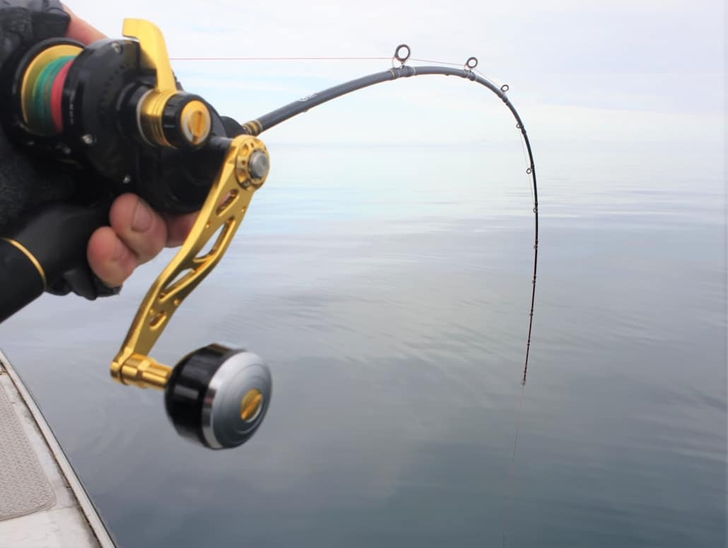 Catch JGX2000 Fishing Reel