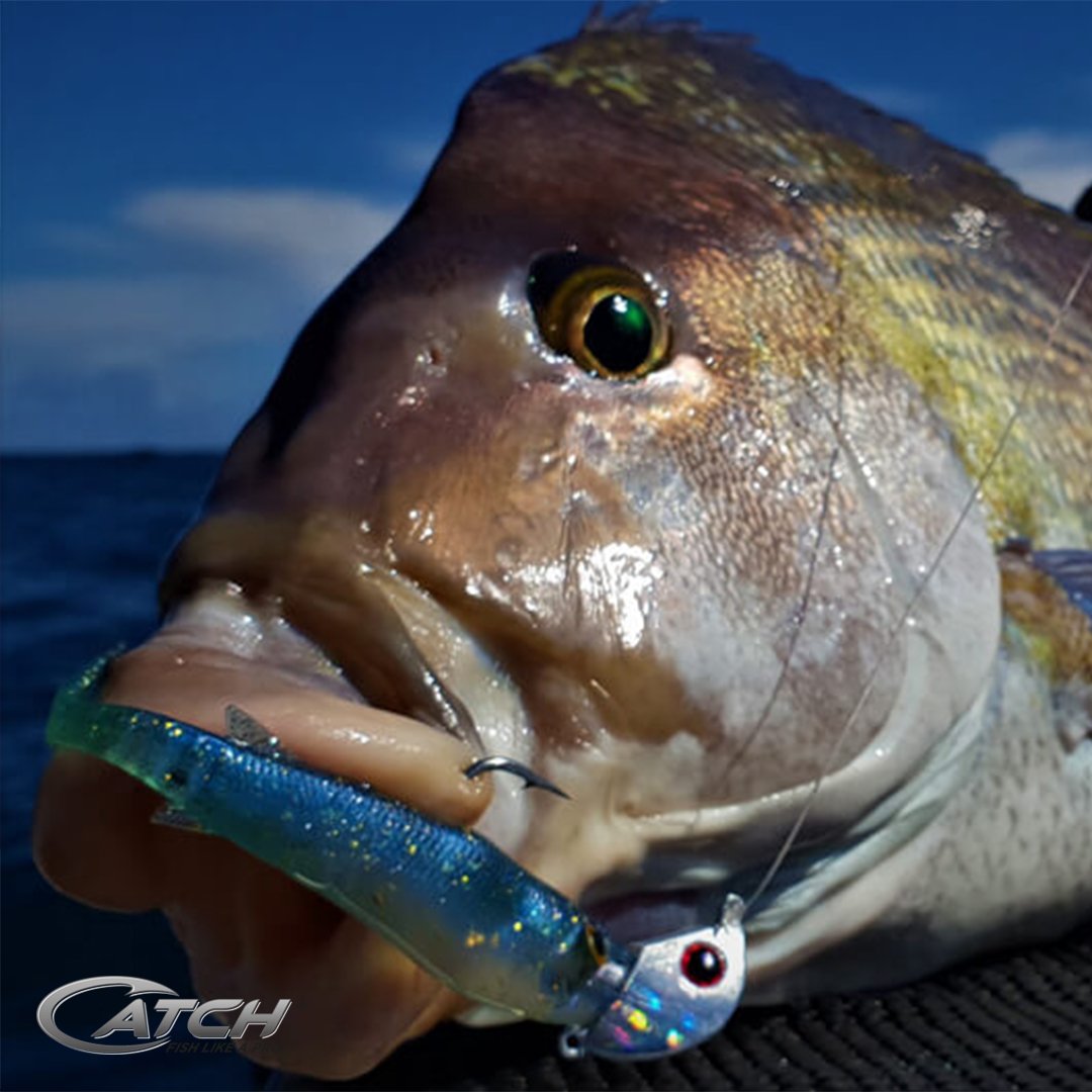 Catch Livies Softbait catching Snapper