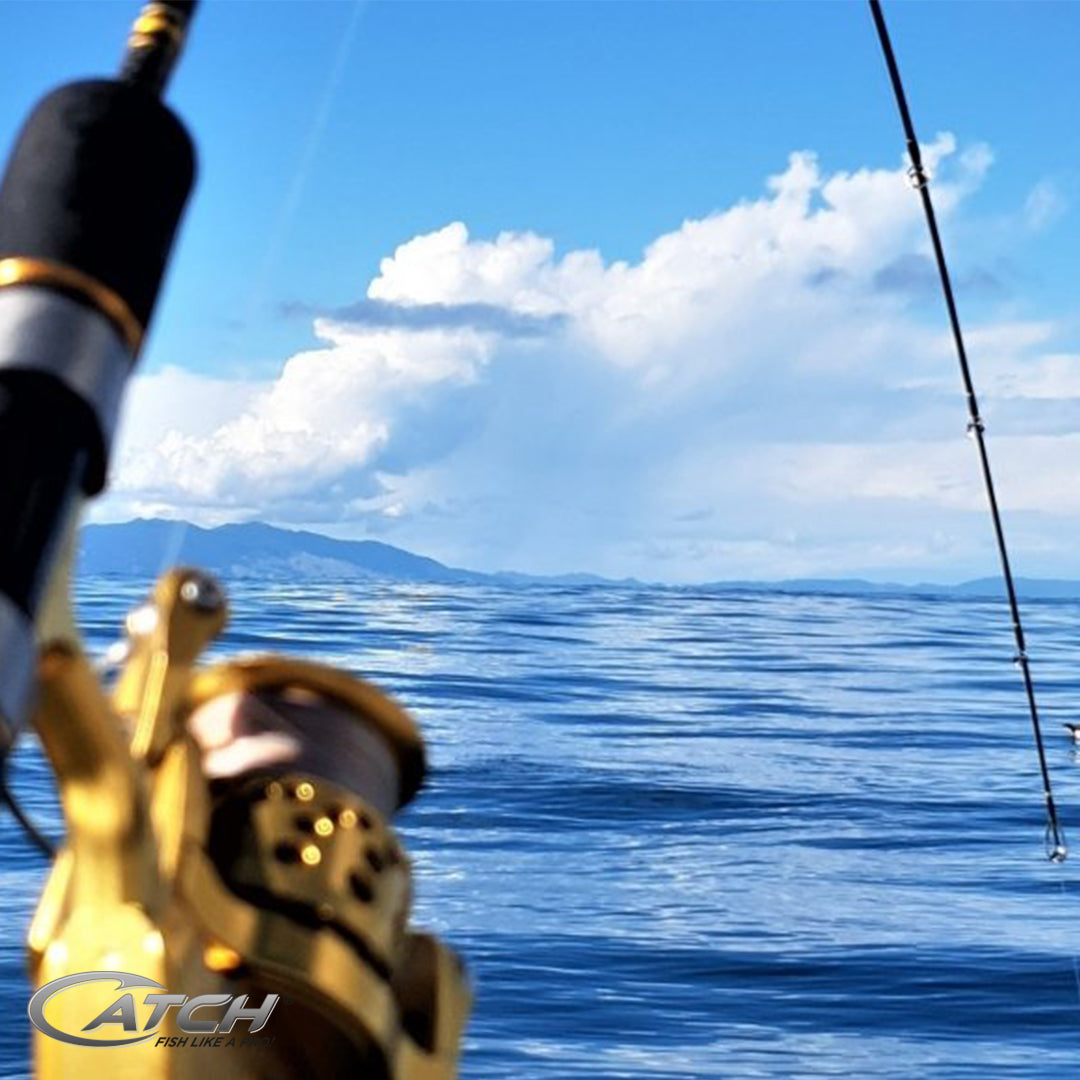 Catch Pro Series Softbait Spin Rod 7ft 3in 2 Piece 4-8 kg