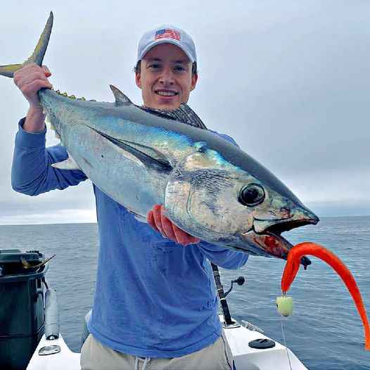 Catch The Harrier Elevator Jigheads (2 - 6 Oz)