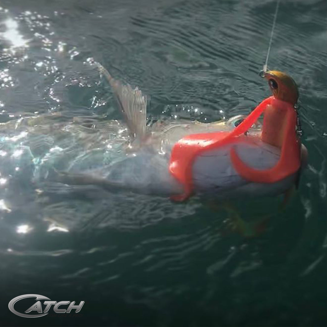 Catch Water Wings UV Treated Lure Attractant - Pack of Two - LURE ME - Online Fishing Tackle.