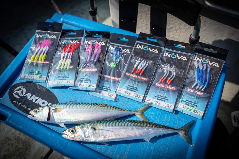INOVA Bait Flasher Rig - Pink Assassin