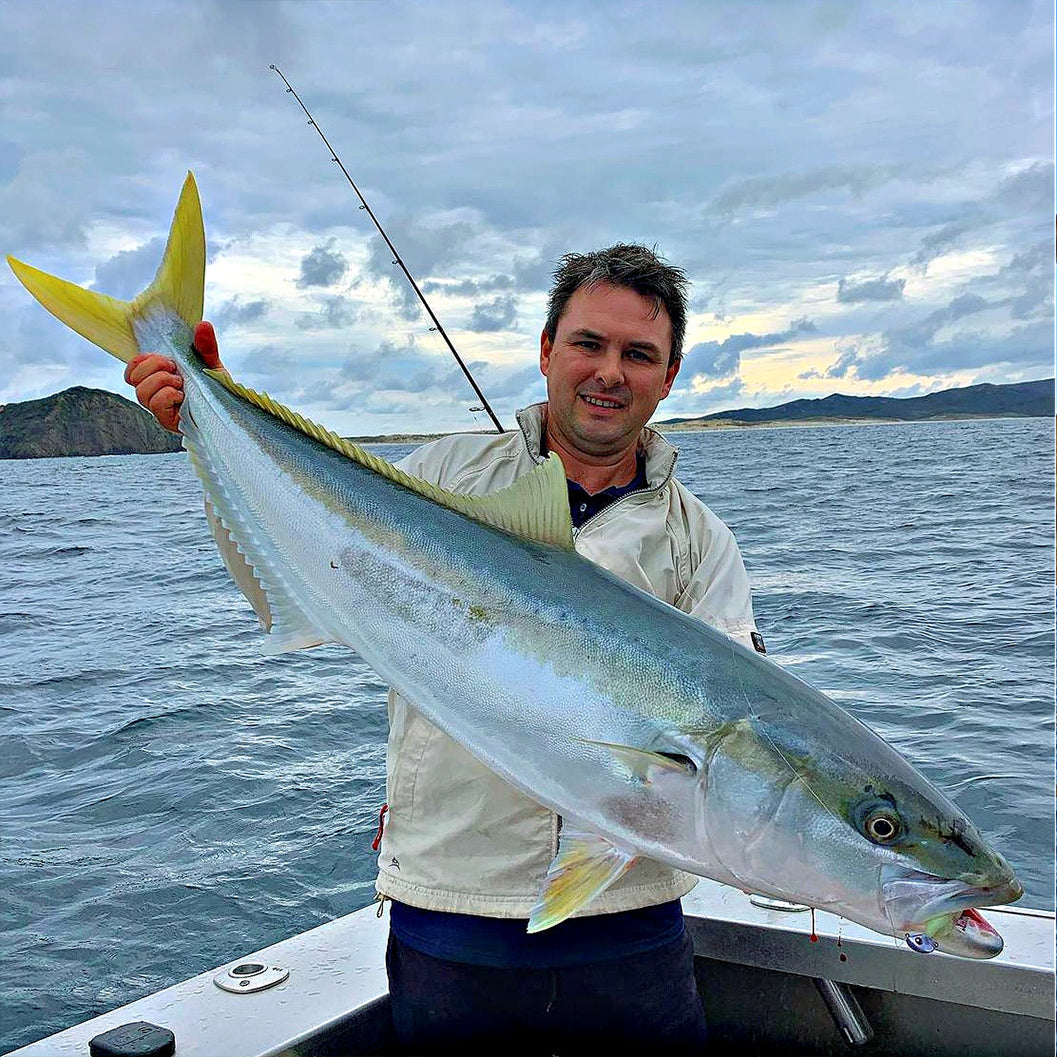 Large Kingfish Caught on Soft Bait - Catch Black Label Livies White Warrior Glow