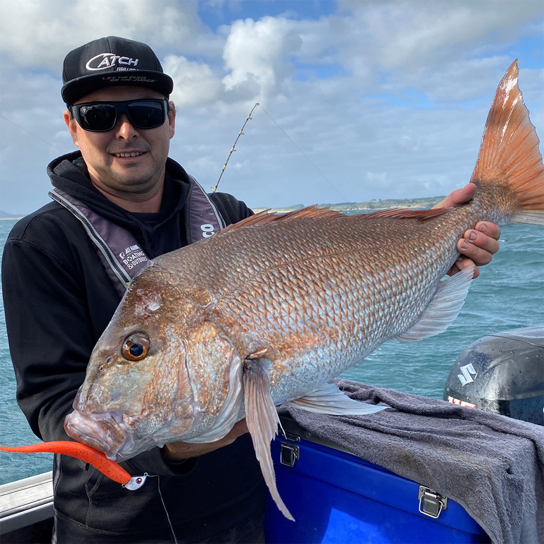 Snapper Caught using Catch Black Label Livie