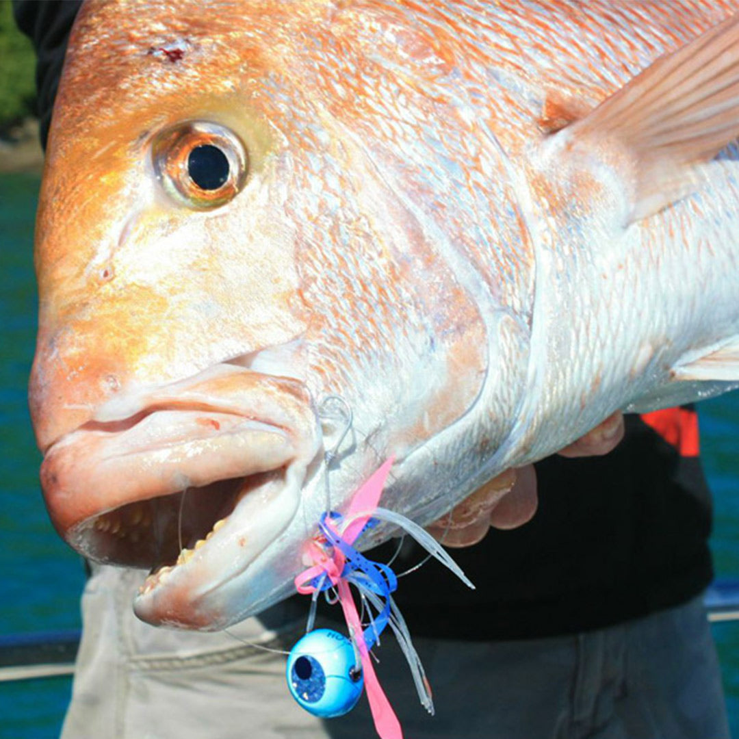 Catch Snapper Fishing Value Pack with Tackle Box - LURE ME - Online Fishing Tackle.