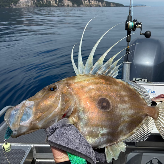 Big Softbaits for Deep Water: Fishing 10-Inch Softbaits with Heavy Jig Heads