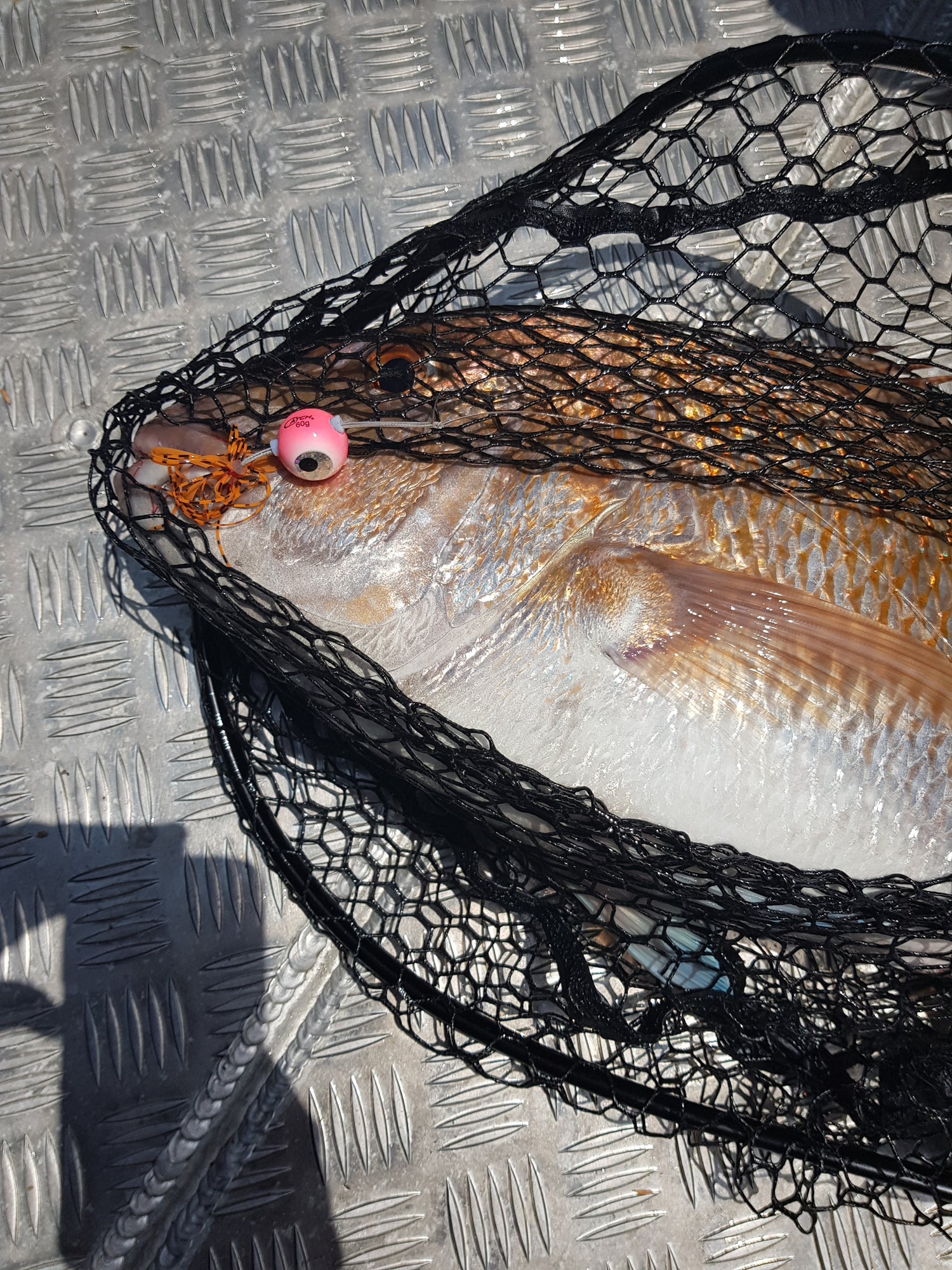 Large Snapper on Catch Kabura Lure