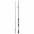 Balzer 71 Degrees North Baltic Sea Slow Jig Rod 30-125g