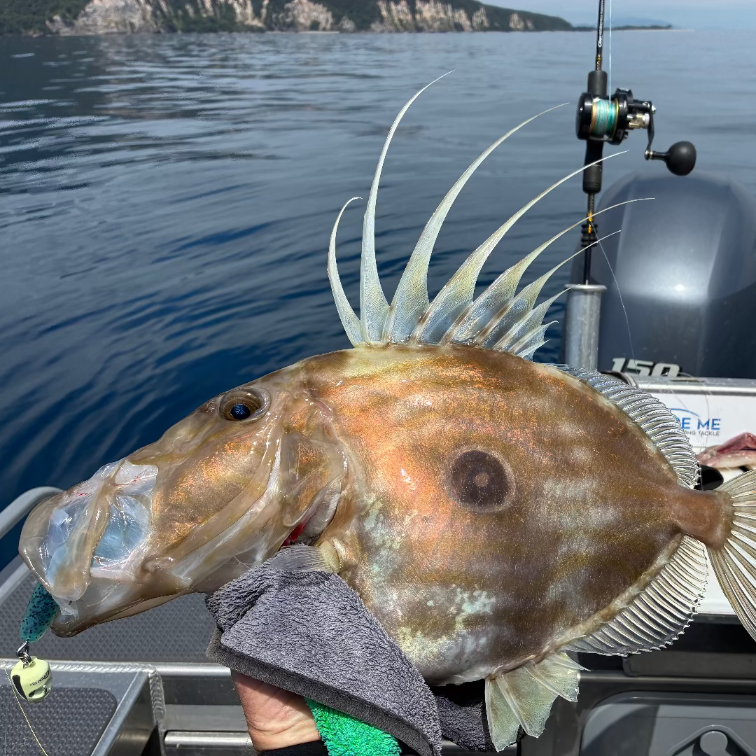 Fishing boat with a large fish caught on a hook, surrounded by water and fishing equipment.