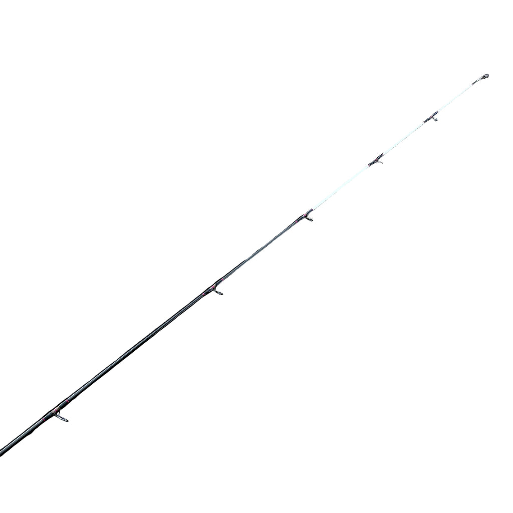 Akios Airlyte hybrid tip for sensitive bite detection surfcasting rod
