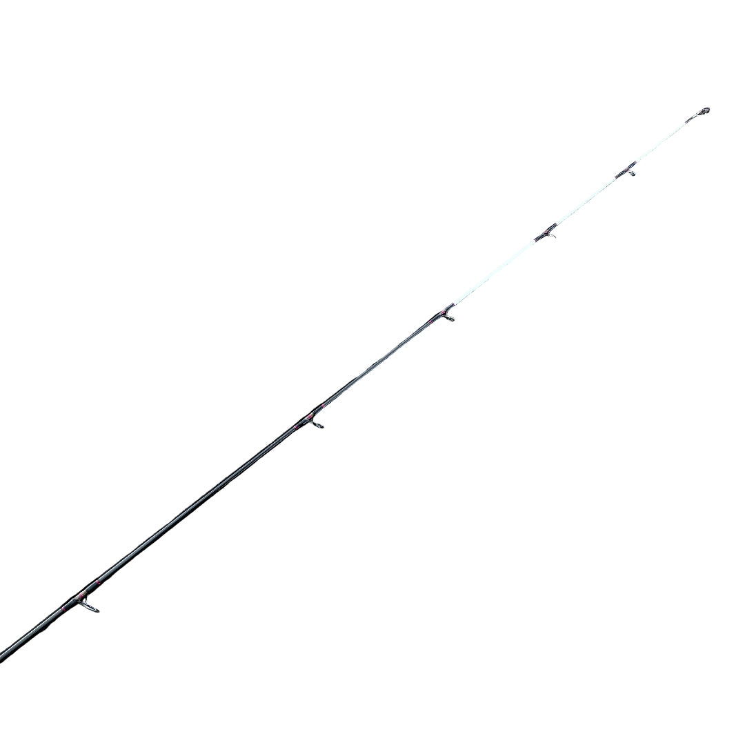 Akios Airlyte hybrid tip for sensitive bite detection surfcasting rod