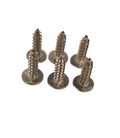 Connelly Waterski Self Tapping Binding Screw (Each) - Lure Me - Online Fishing Tackle