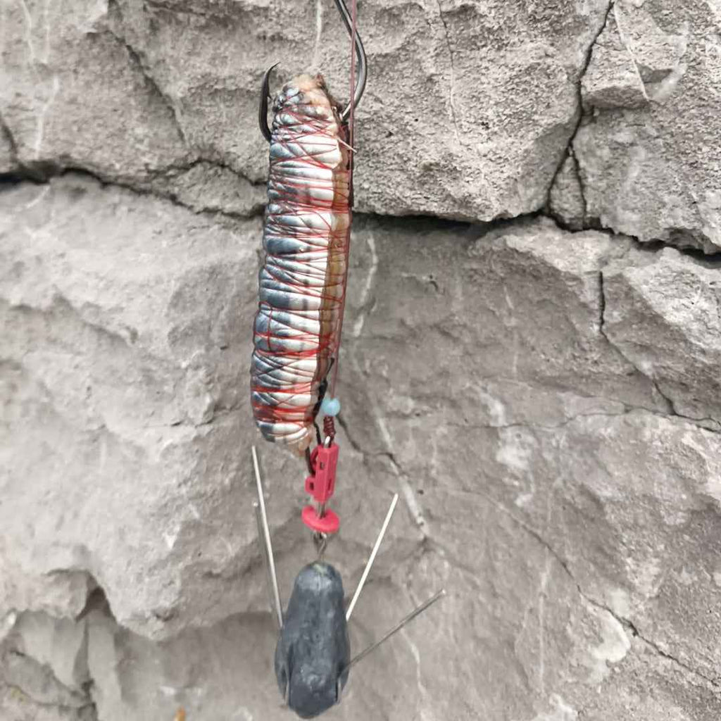 INOVA Sea Fishing Dongle Rig Kit NZ | Pre-Tied Surfcasting Rig System