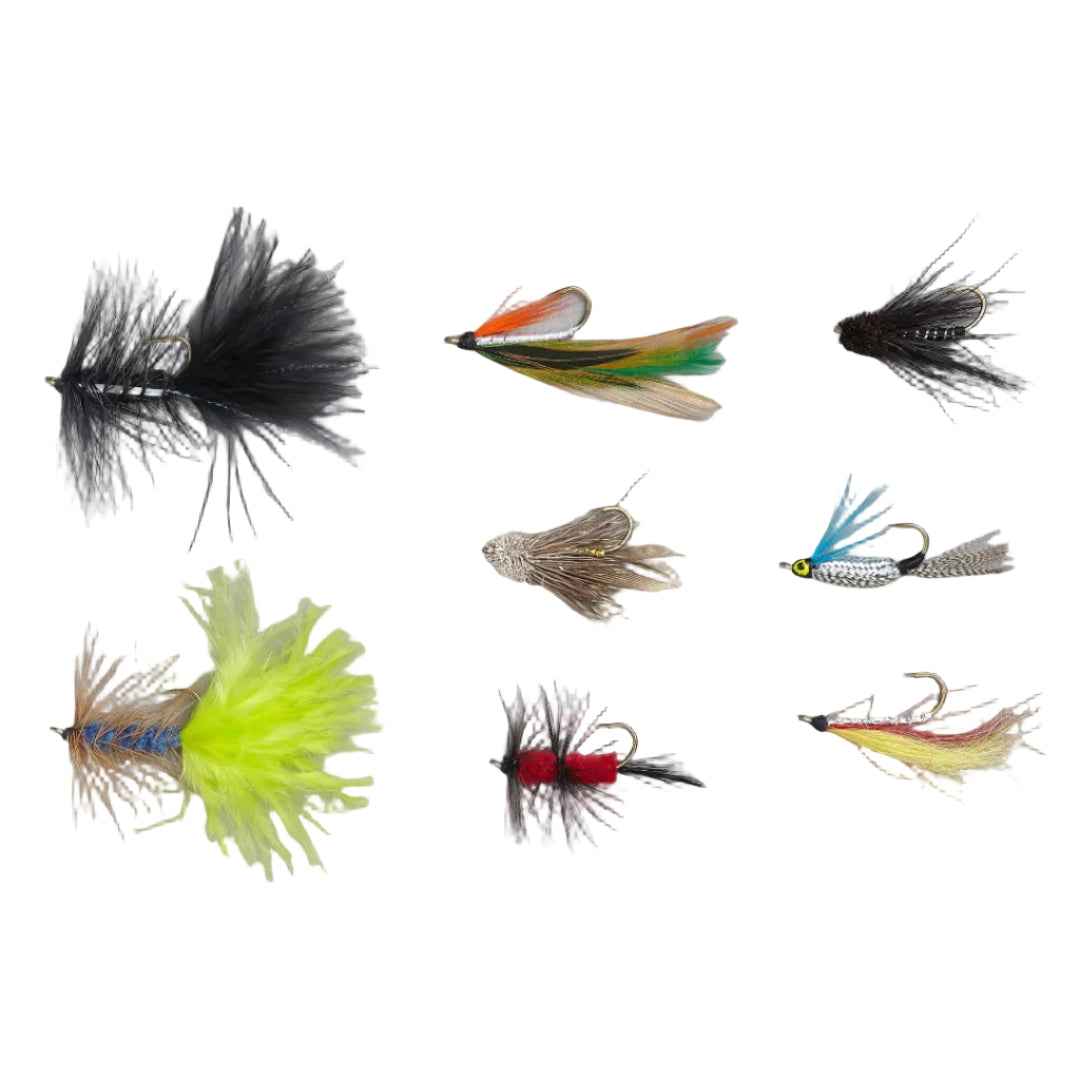 Balzer Fly, Nymph & Streamer Assortment Kits – Trout & Saltwater