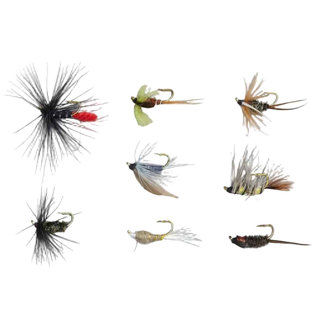 Balzer Fly, Nymph & Streamer Assortment Kits – Trout & Saltwater