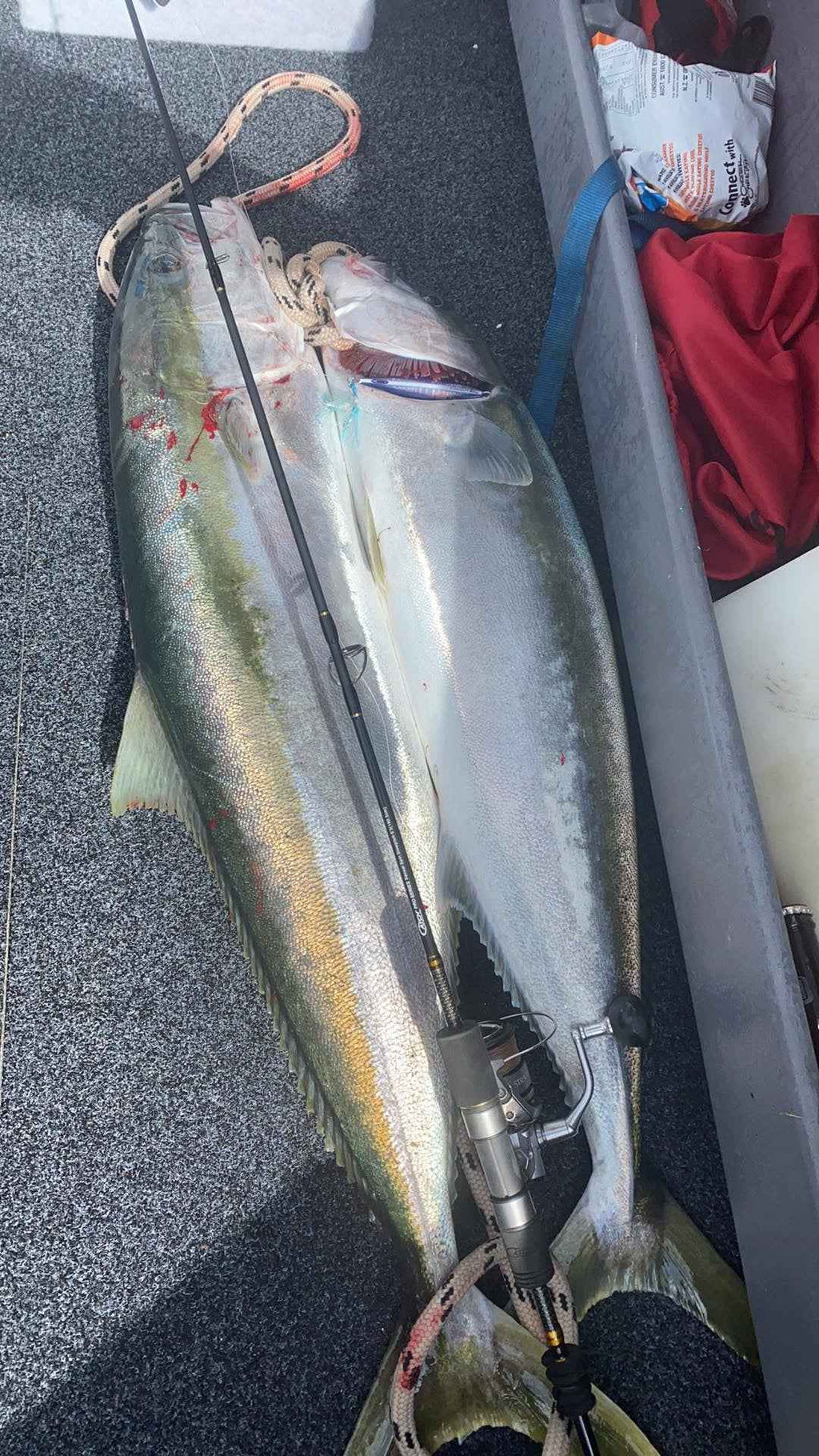 Catch S3000 + Kensai Slow Pitch Spin Jigging Combo with Braid 8kg Drag 6ft 3in 1 Piece 80-150 gram