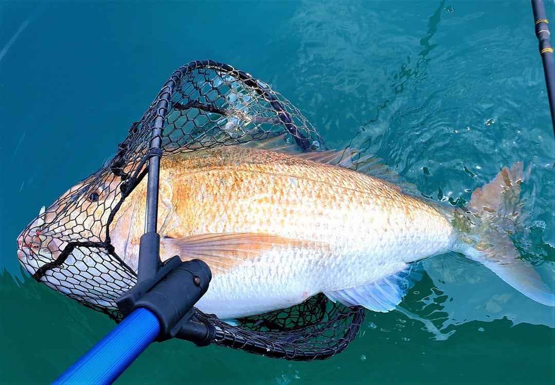 Catch Pocket Rocket Tungsten Micro Jig - Orange Assassin