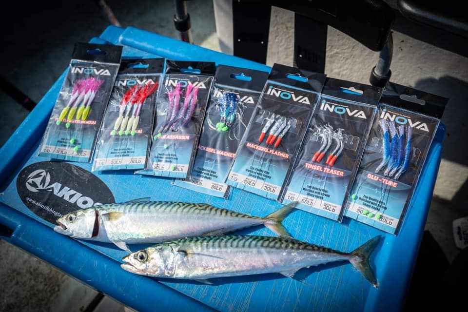 INOVA Bait Flasher Rig - Devils Hokkai