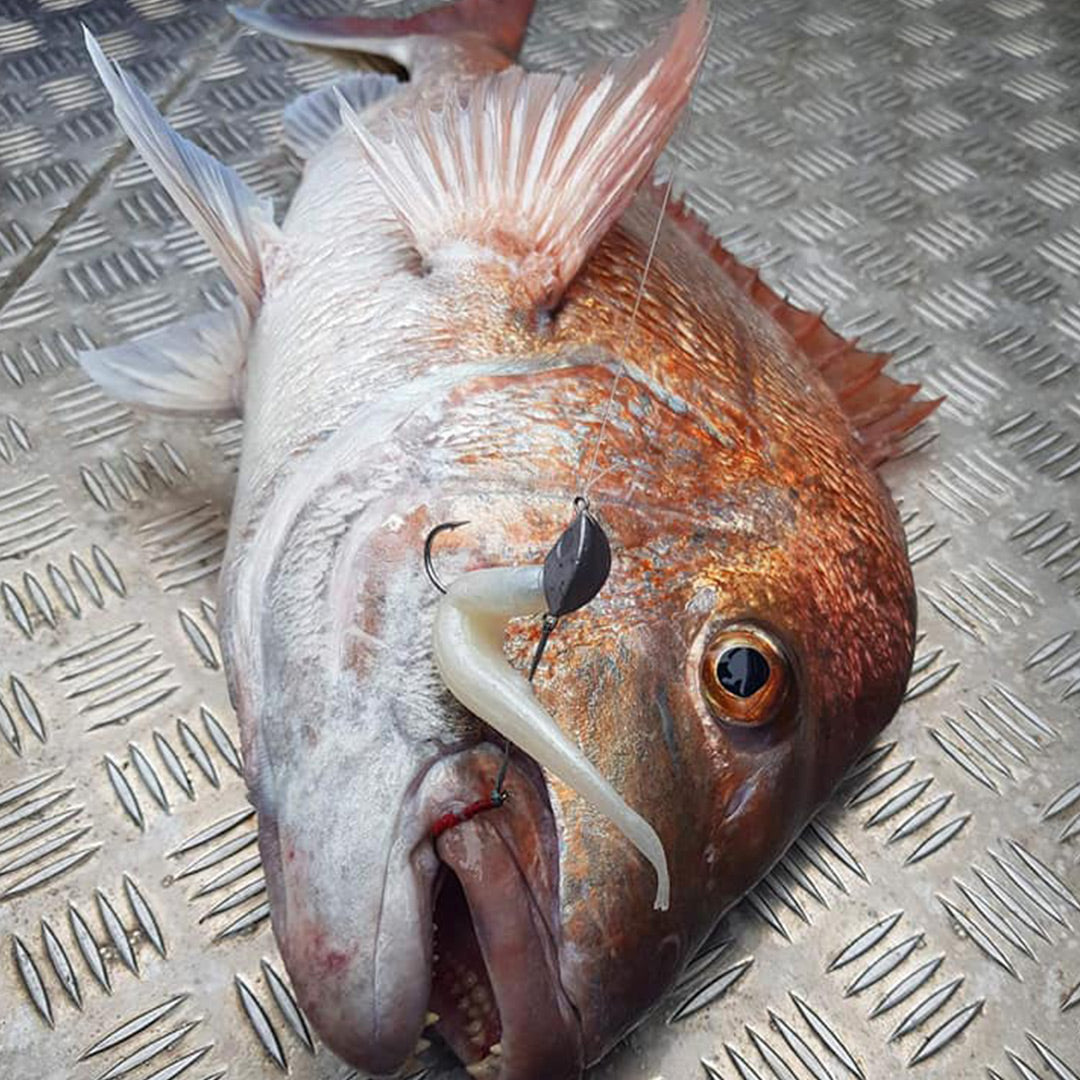Catch Stingaz Tenya Softbait Jig Heads (1/4 - 1 Oz) - LURE ME - Online Fishing Tackle.