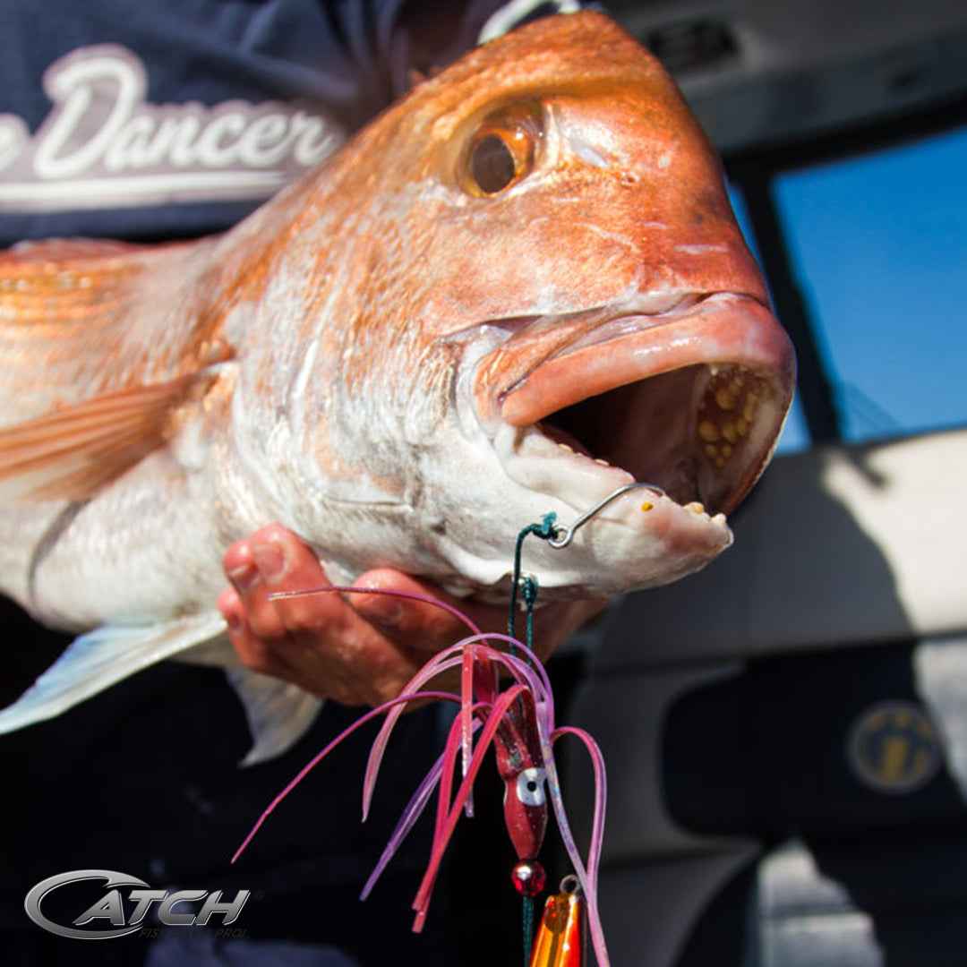 Catch Beta Bug Ballistic Blue Inchiku Lure (20-200g)