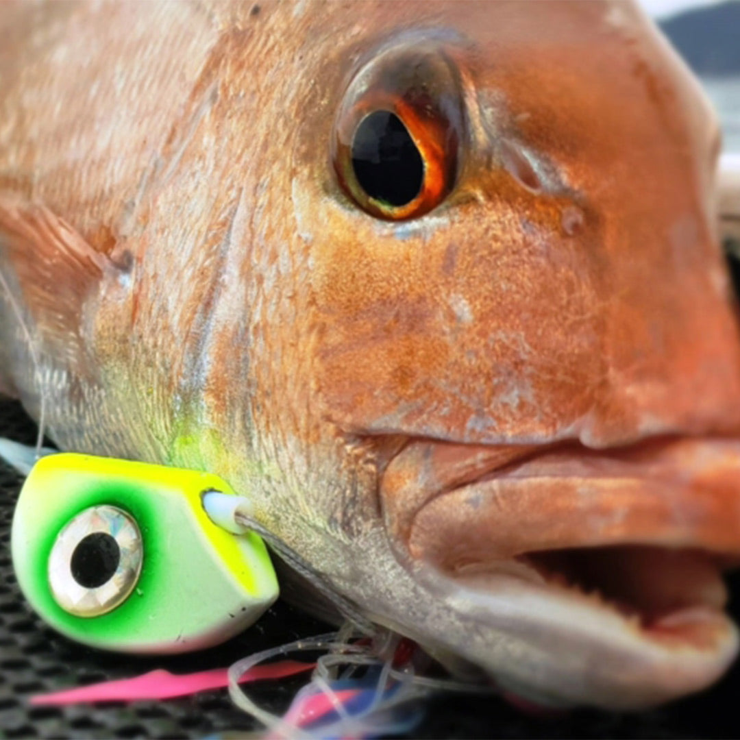 Snapper caught with Catch Beady Eye Kabura Jig