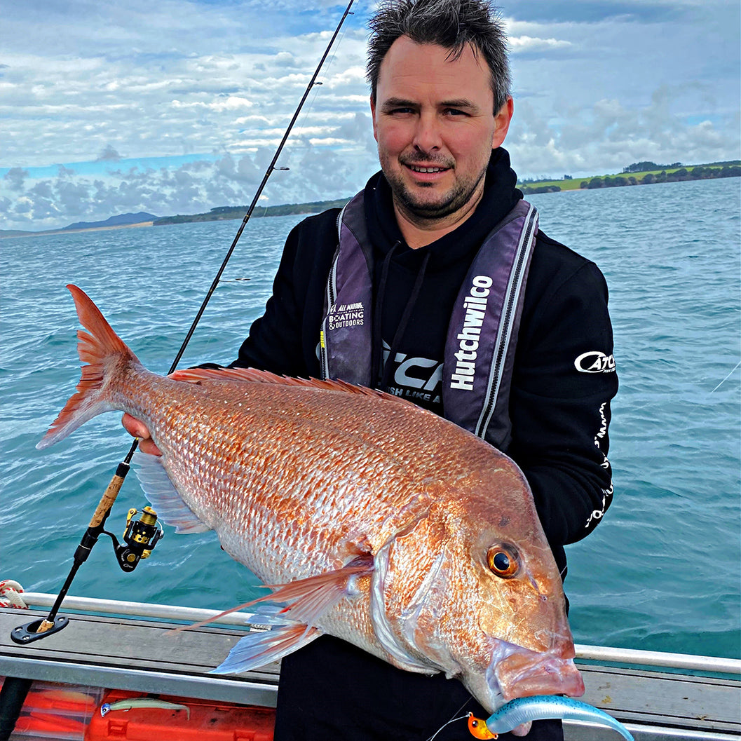 Soft Bait caught snapper using Catch Black Label Livies in Power Pilchard Glow
