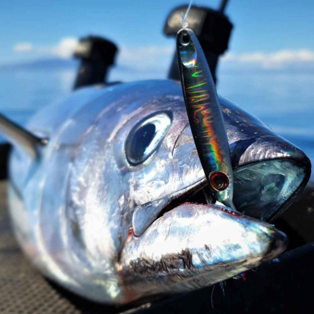 Catch Pocket Rocket Tungsten Micro Jig - Orange Assassin